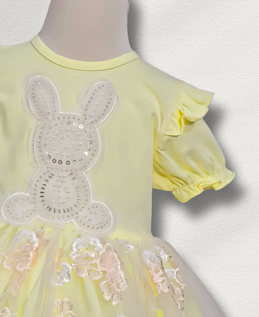 Yellow Rabbit Net Fancy Frock