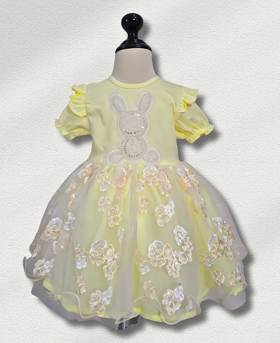 Yellow Rabbit Net Fancy Frock