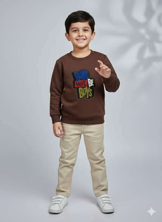 Boys Brown Embroidered Sweatshirt