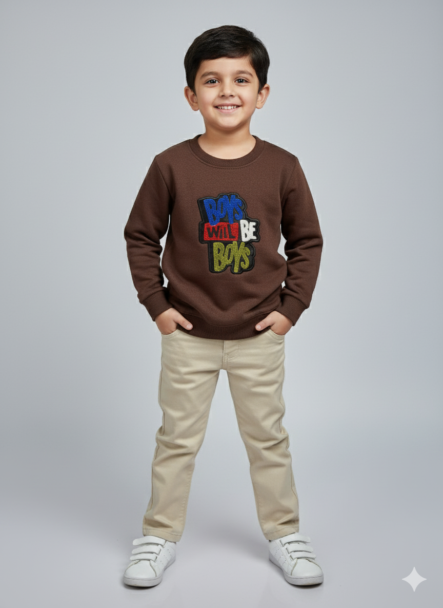 Boys Brown Embroidered Sweatshirt