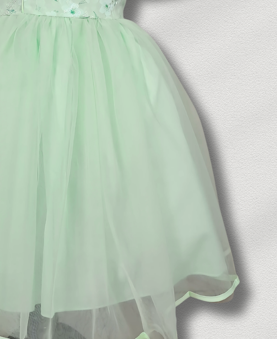Premium Light Green Net Frock