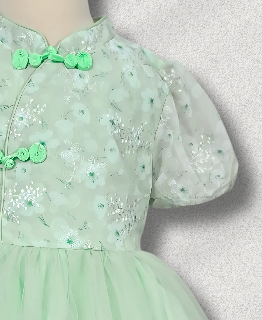 Premium Light Green Net Frock