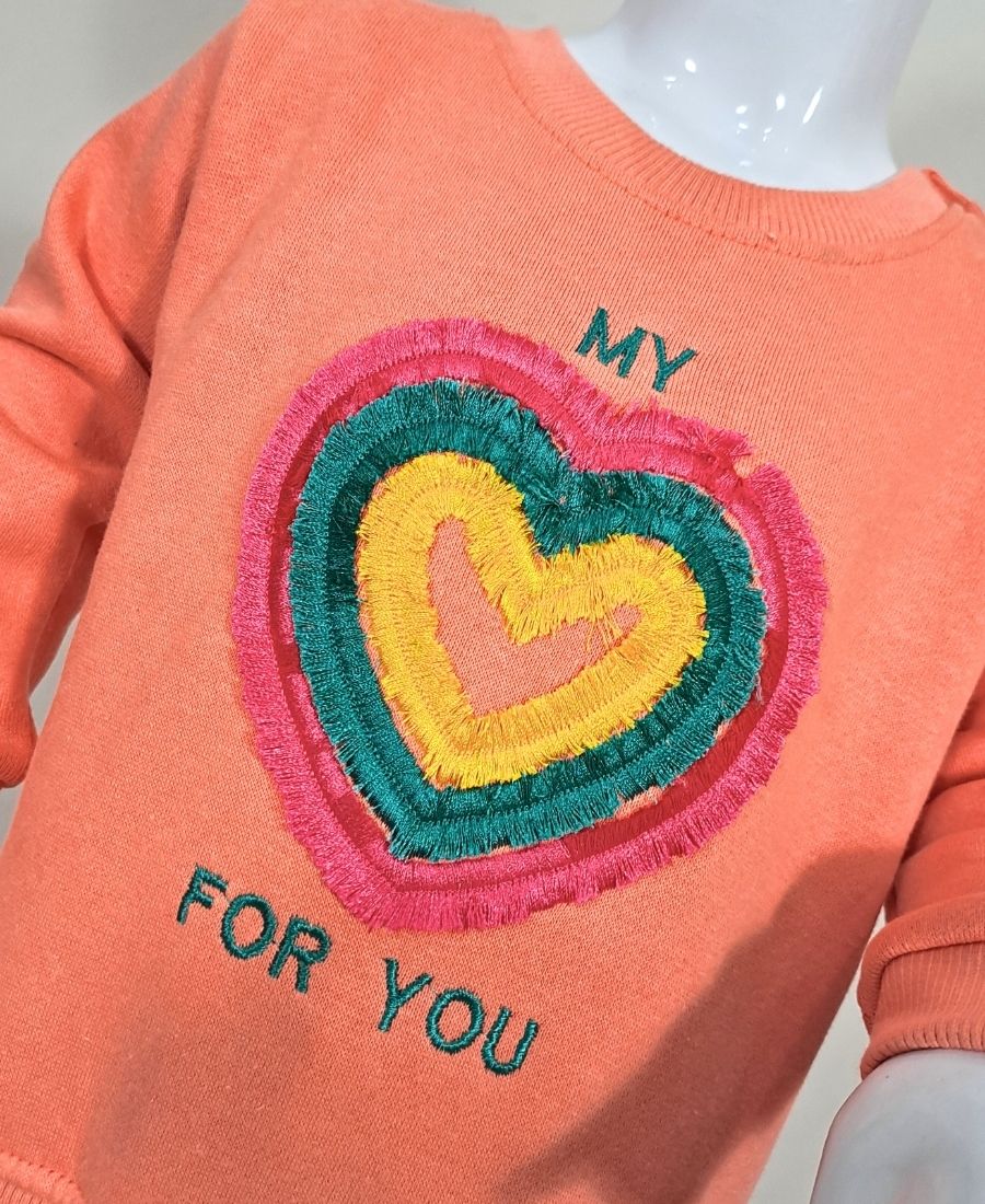 Girls Peach Embroiedered Sweat Shirt