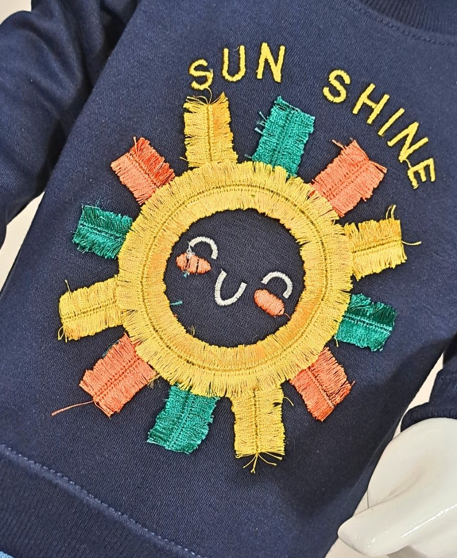 Blue Girls Embroidered Sweat Shirt
