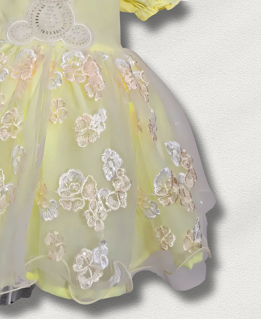 Yellow Rabbit Net Fancy Frock
